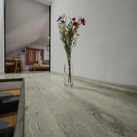 Sleep&go Airport Transit Apartman Kolozsvár
